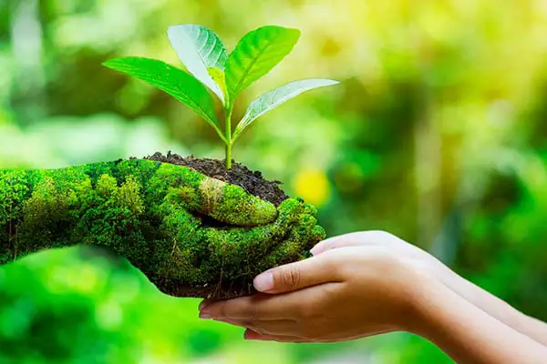 licenciamento ambiental